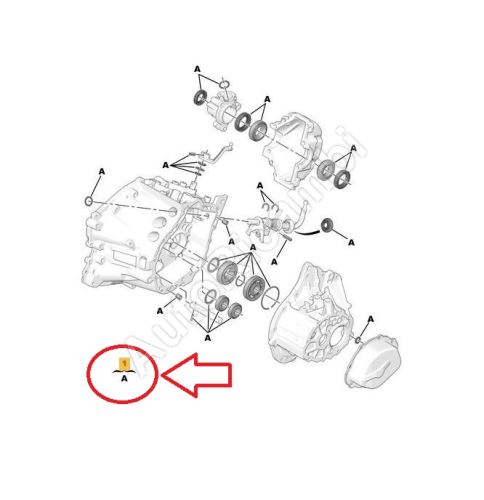 Gearbox repair kit Citroën Berlingo, Partner since 2020 - BE4R