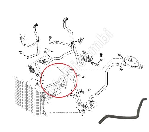Radiator hose for Renault Master since 2010 2.3 dCi