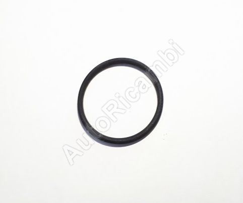 Oil cooler seal Iveco Daily