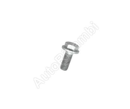 Spare wheel holder screw Iveco Daily since 2014 - M8x25 mm