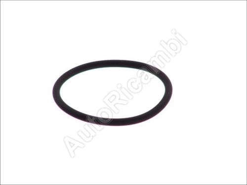 Engine flange O-ring Iveco Daily 2.8