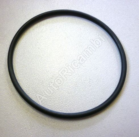Ventilation seal Iveco EuroCargo Tector O-ring smaller
