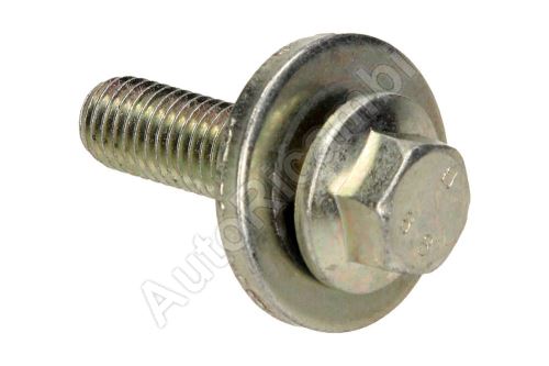 Camshaft gear bolt Ford Transit, Tourneo Connect 2002-2014 1.8 Di/TDCi