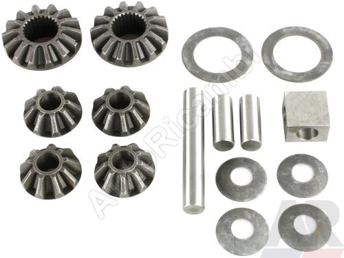 Differential gear Iveco Daily 00 9/14T FI = 215 mm set