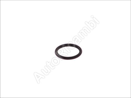 Engine flange O-ring Iveco Daily 2.8