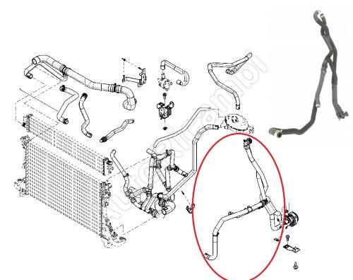Cooling hose Renault Master 2010– 2.3 dCi