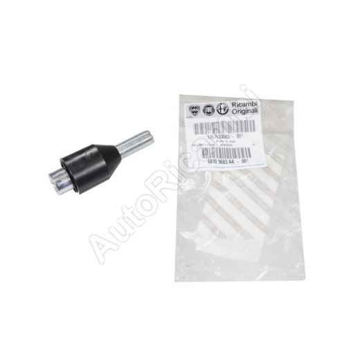 Fiat Ducato 250 reserve holder screw for electrons