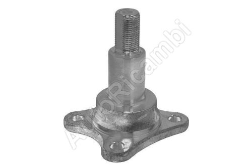 Steering knuckle Ford Transit since 2000 rear