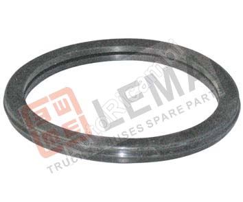 Thermostat gasket, Iveco