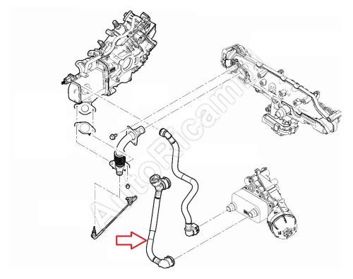 Rohr zum AGR-Ventil Fiat Ducato ab 2021 2.2D