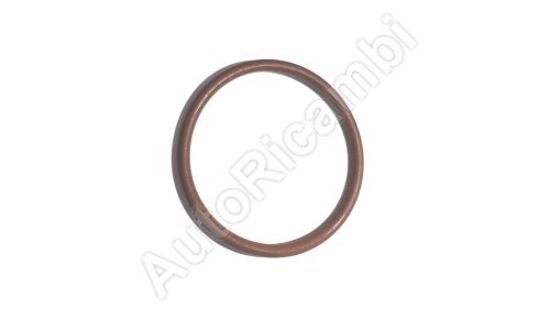O - ring Iveco Cursor 8 - for the injector case