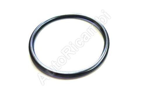 Water pump gasket Iveco Daily, Fiat Ducato 3.0