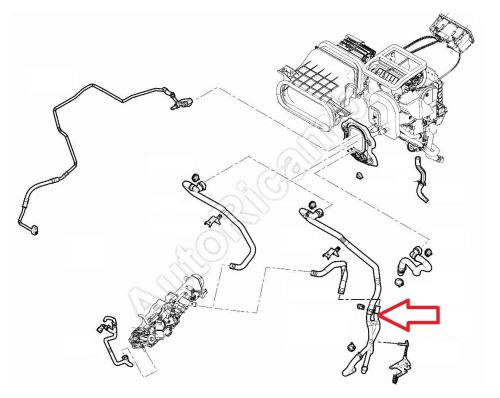 Heater hose Fiat Ducato since 2021 2.2D
