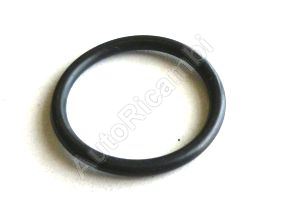 Oil drain plug seal for Iveco Daily since 2000, Fiat Ducato since 2002 2.62x23.47 mm