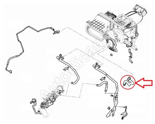 Heizungsschlauch Fiat Ducato ab 2021 2.2D