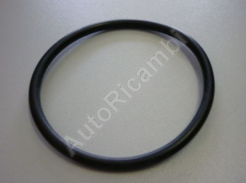 Thermostat gasket Iveco EuroCargo 75E14 O-ring