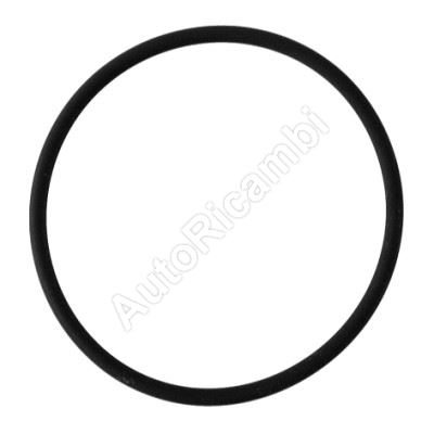 Thermostat gasket Iveco Daily