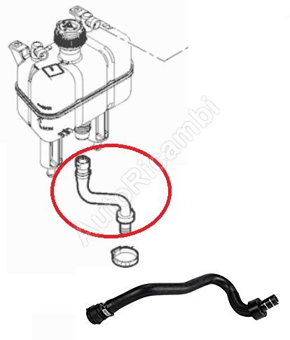 Water hose Fiat Ducato 2.3 since 2014 to the expansion tank
