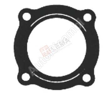 Exhaust pipe gasket Iveco