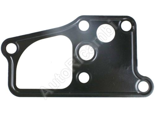 Fuel pump gasket Iveco TurboDaily