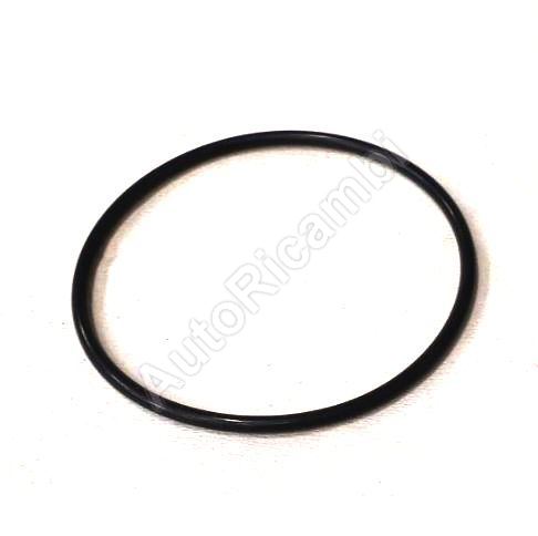 Throttle body gasket Iveco Daily since 2016 O-ring