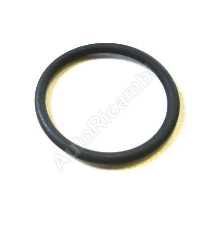 Oil filler gasket Iveco Daily 2.8 - o ring