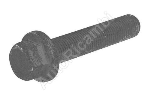 Leaf spring screw Iveco Daily since 2006 35S
