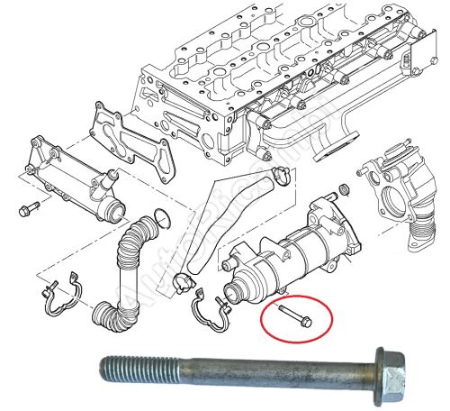 EGR valve screw Fiat Ducato 3.0 M8x80mm