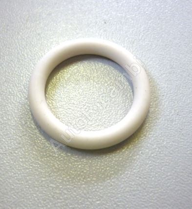 Engine front flange sealing ring, Iveco EuroCargo Tector