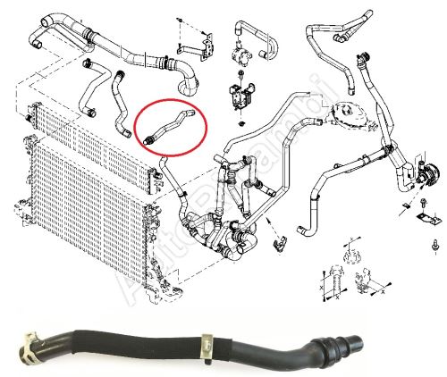 Water radiator hose Renault Master 2010- 2.3 Dci