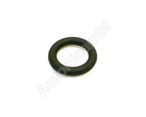 Dichtung des AGR-Ventils Iveco Daily 3.0 euro4 O-Ring