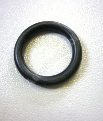 Flange o-ring Iveco EuroCargo Tector - for High pressure fuel pump