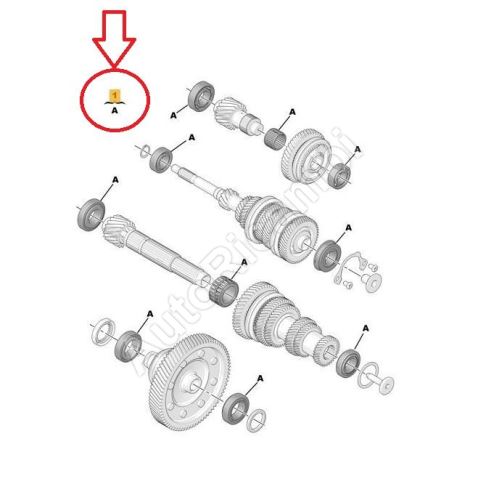 MC gearbox bearing repair kit Citroën Jumpy, Expert since 2016