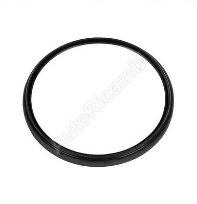 King pin oil seal Iveco Stralis, lower