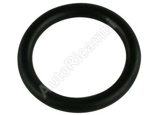 Water pipe gasket Iveco Daily 2.3