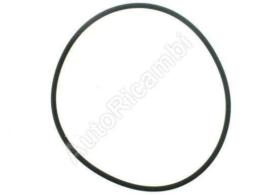 Thermostat gasket Iveco Daily