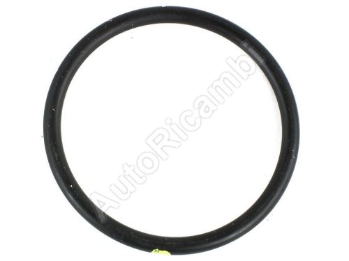 Water pump gasket Iveco Daily, Fiat Ducato 3.0