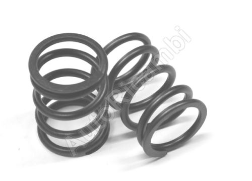 Valve spring Iveco Daily, Fiat Ducato 2.8 outer