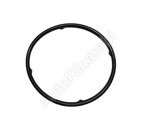 Automatic transmission oil cooler seal Fiat Scudo, Jumpy, Expert 2011-2016 - AM6