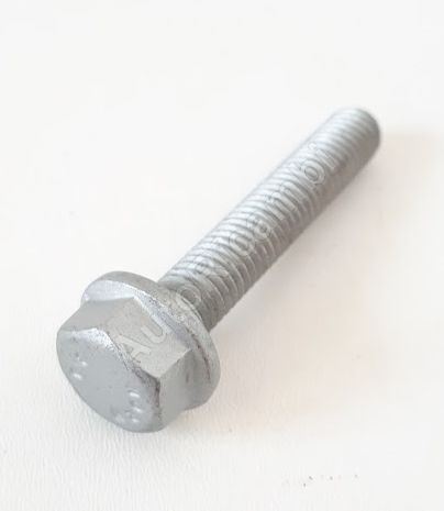 Iveco M8 x 53 mm screw