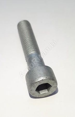 Oil pump screw, Iveco