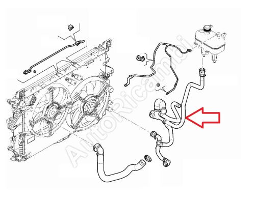 Water radiator hose Fiat Ducato since 2021 2.2D lower