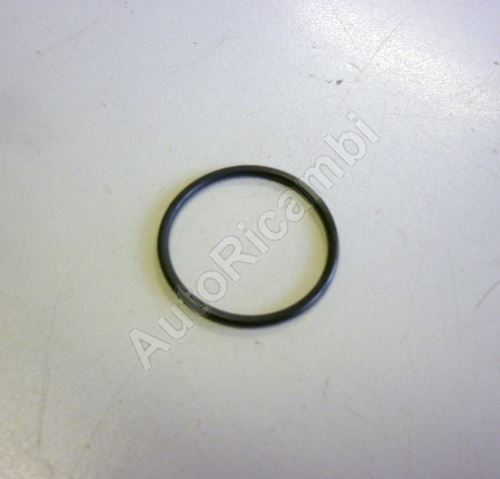 Seal ring, injector Iveco EuroCargo euro2