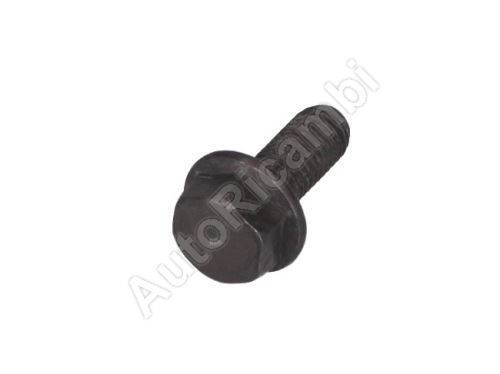 Camshaft pulley bolt Ford Transit Connect since 2013 1.5D/1.6i M10x25 mm