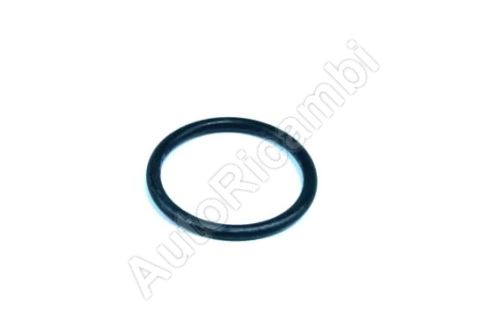 Thermostat seal Peugeot Boxer 2.2