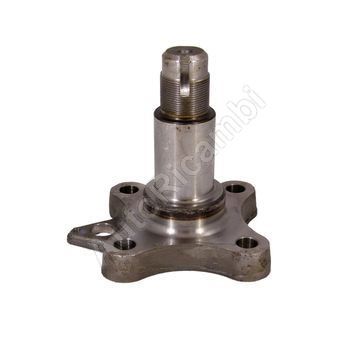 Stub axle Fiat Ducato, Jumper, Boxer 1994-2006 rear left/right, with ABS