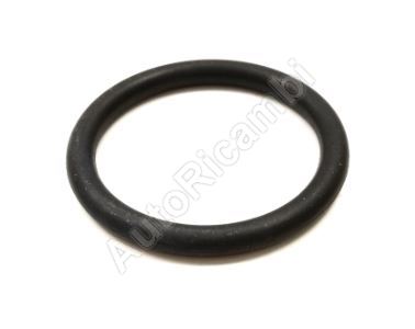 Thermostat O-ring Renault Master 2002-2010, Trafic 2002-2014 2.2/2.5D